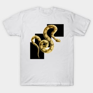 Snake on chess T-Shirt